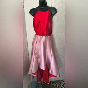 NWT $450 Phoebe Size 10 Hi Lo Cherry Parfait Dress $375